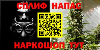 индика Бузулук