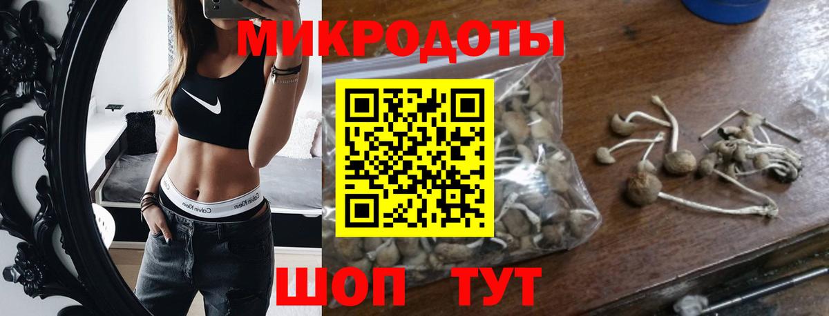 Прохладный  Галлюциногенные грибы Psilocybine cubensis  Вход с VPN 