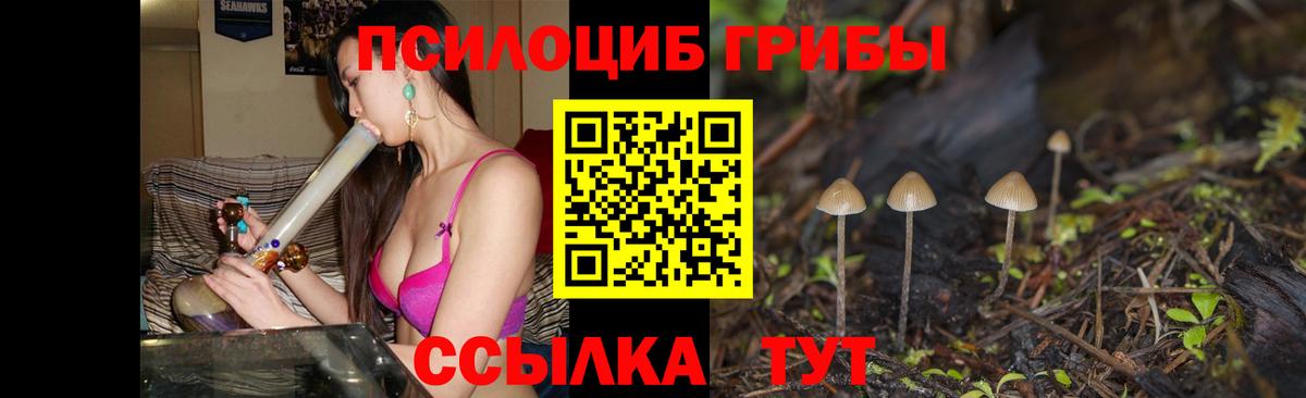 Галлюциногенные грибы мухоморы Прохладный